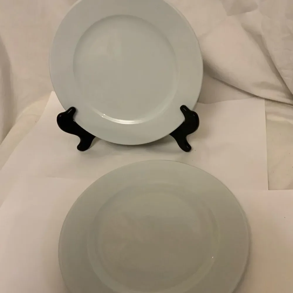 New Sur la Table Turkey WHITE Rim Dinner Plate 10 5/8